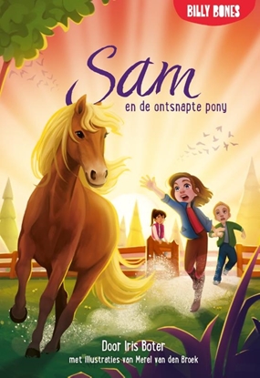 Afbeeldingen van Sam Sam en de ontsnapte pony