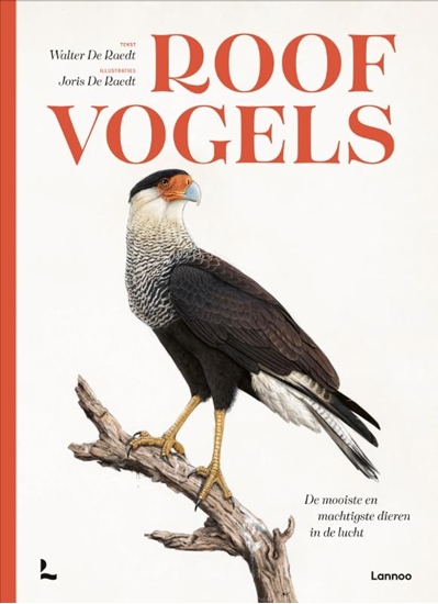 Afbeelding van Roofvogels