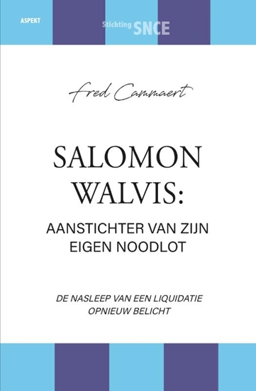 Afbeelding van Salomon Walvis: aanstichter van zijn eigen noodlot