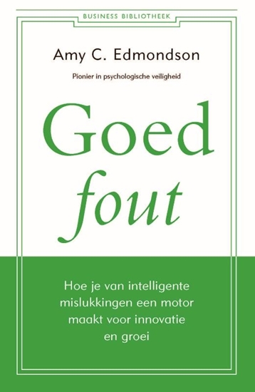 Afbeelding van Business Bibliotheek Goed fout