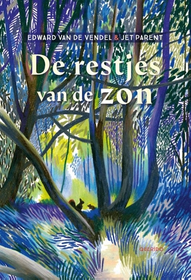 Afbeelding van De restjes van de zon