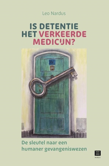 Afbeelding van Is detentie het verkeerde medicijn?