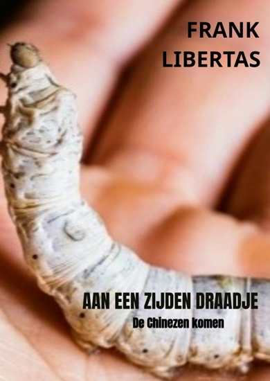 Afbeelding van Aan een Zijden Draadje