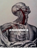 Afbeelding van Anatomica