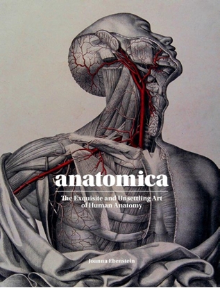 Afbeeldingen van Anatomica