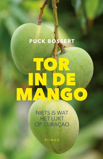 Afbeelding van Tor in de mango