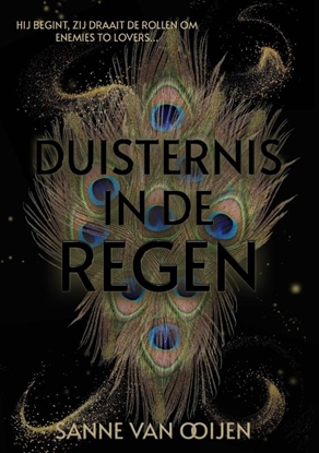 Afbeeldingen van Duisternis in de regen