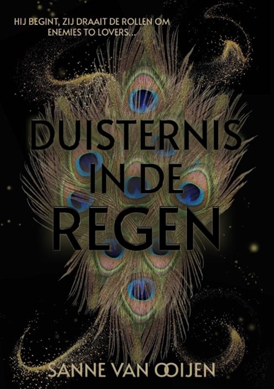 Afbeelding van Duisternis in de regen
