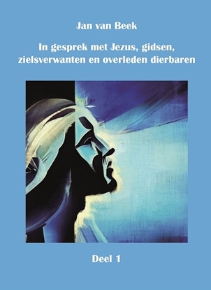 Afbeeldingen van In gesprek met Jezus, gidsen, zielsverwanten en overleden dierbaren 1