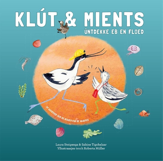 Afbeelding van Klút & Mients ûntdekke eb en floed