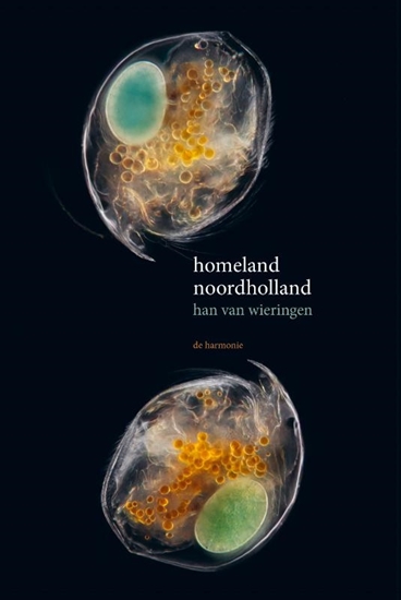 Afbeelding van Homeland Noordholland