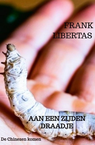 Afbeelding van Aan een Zijden Draadje