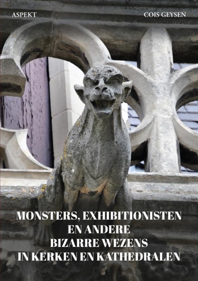 Afbeelding van Monsters, exhibitionisten en andere bizarre wezens in kerken en kathedralen