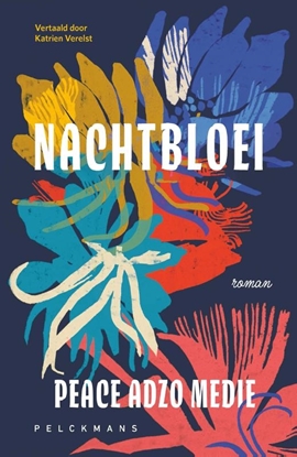 Afbeeldingen van Nachtbloei