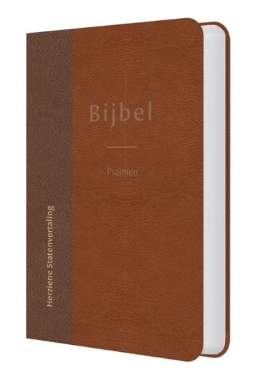 Afbeelding van Bijbel met psalmen