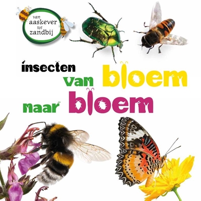 Afbeeldingen van Van aaskever tot zandbij Insecten van bloem tot bloem