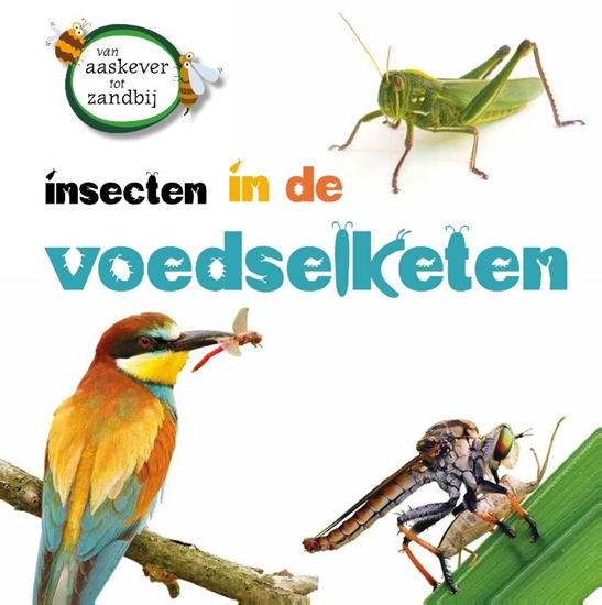 Afbeelding van Van aaskever tot zandbij Insecten in de voedselketen
