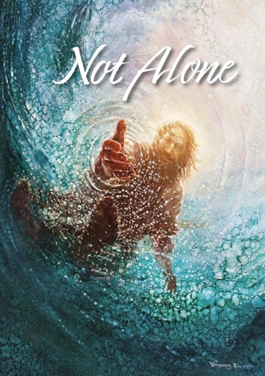 Afbeelding van Not Alone