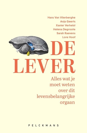 Afbeelding van De lever
