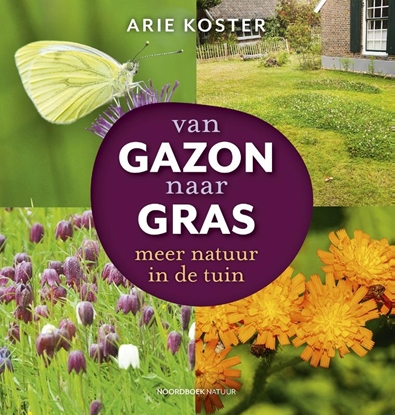 Afbeeldingen van Van gazon naar gras