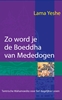 Afbeelding van Zo word je de Boeddha van Mededogen