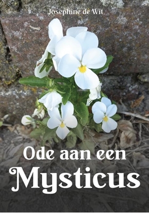 Afbeeldingen van Ode aan een Mysticus