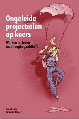 Afbeeldingen van Ongeleide projectielen op koers