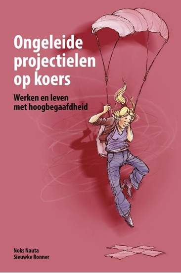 Afbeelding van Ongeleide projectielen op koers