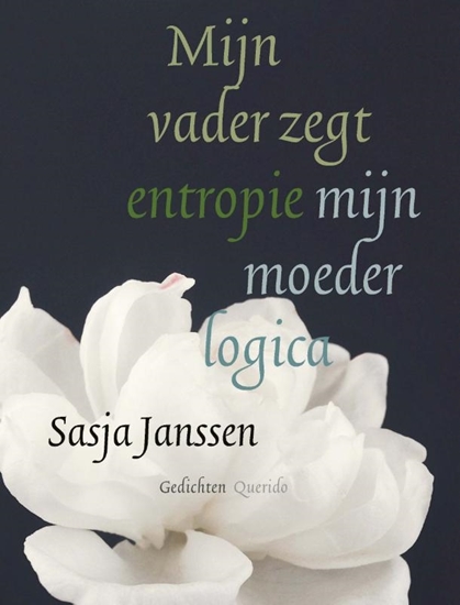 Afbeelding van Mijn vader zegt entropie mijn moeder logica