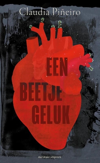Afbeelding van Een beetje geluk