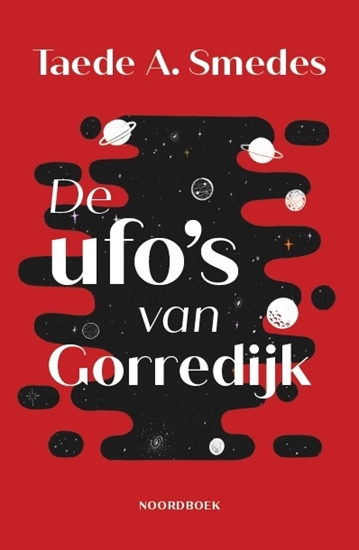 Afbeelding van De ufo’s van Gorredijk