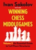 Afbeelding van Winning Chess Middlegames Volume 2