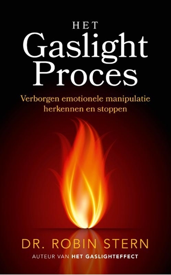 Afbeelding van Het gaslightproces