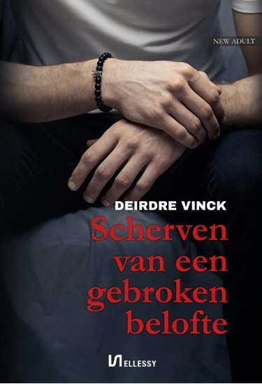 Afbeelding van Scherven van een gebroken belofte
