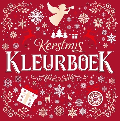 Afbeeldingen van Kerstmis kleurboek