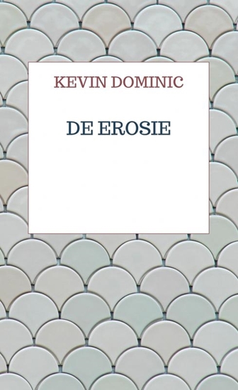 Afbeelding van De Erosie