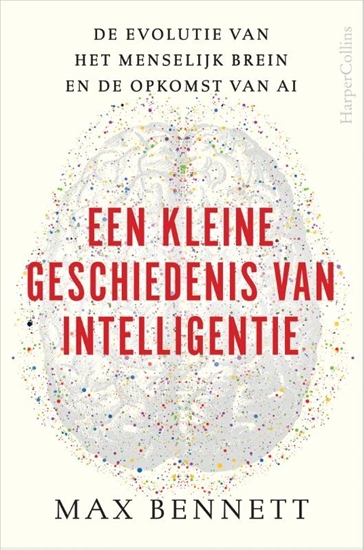 Afbeelding van Een kleine geschiedenis van intelligentie