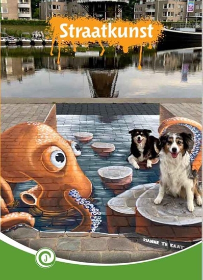 Afbeelding van Junior Informatie Straatkunst