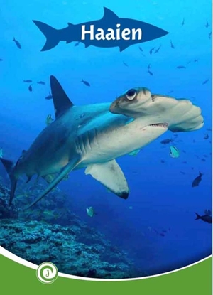 Afbeeldingen van Junior Informatie Haaien