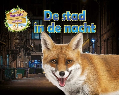 Afbeeldingen van Habitats om de hoek De stad in de nacht