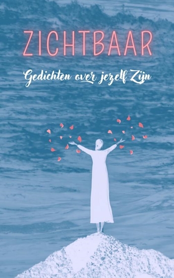 Afbeelding van Zichtbaar