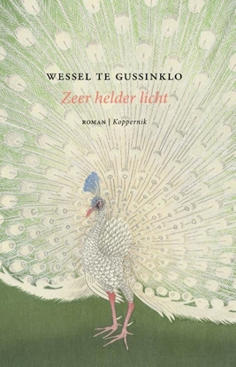 Afbeeldingen van Zeer helder licht