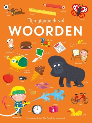 Afbeeldingen van Mijn gigaboek vol woorden