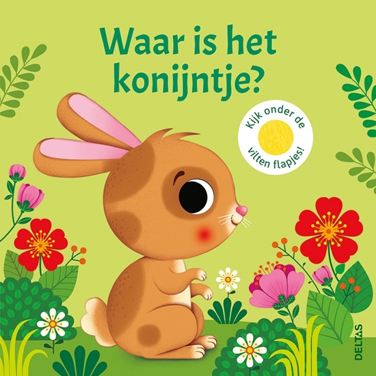 Afbeelding van Waar is het konijntje?