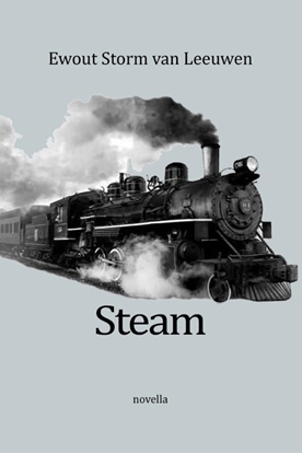 Afbeeldingen van Steam