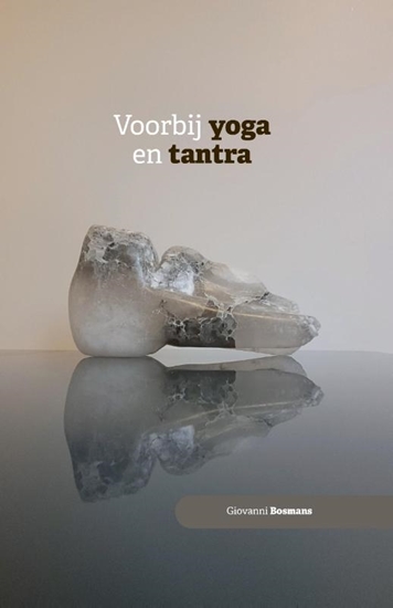 Afbeelding van Voorbij yoga en tantra