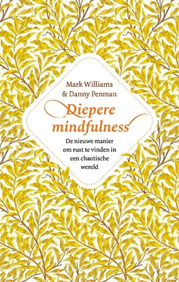 Afbeelding van Diepere Mindfulness