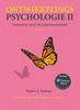 Afbeelding van Ontwikkelingspsychologie II
