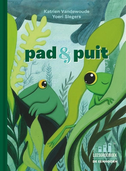 Afbeelding van Pad en Puit
