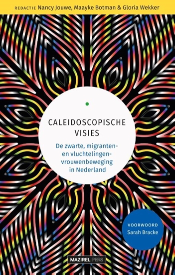 Afbeelding van Caleidoscopische visies